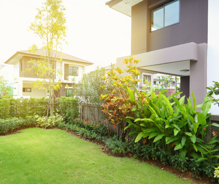 شركة لاندسكيب